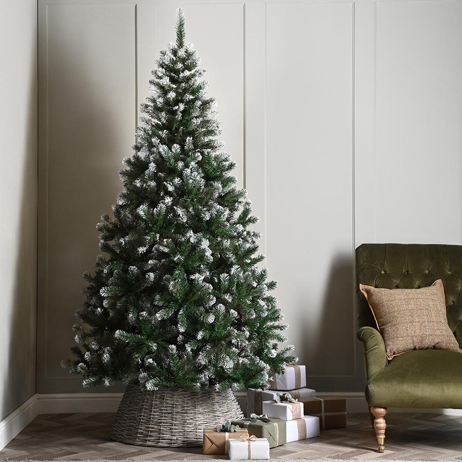 2.1m Frosted Pine Christmas Tree